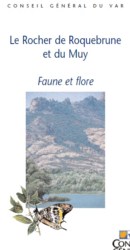 Rocher de Roquebrune